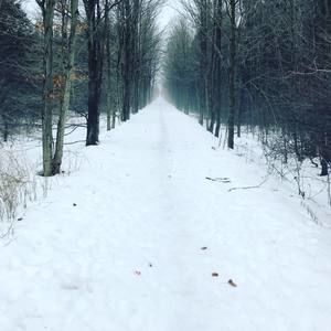 Meet your Posher, Grant